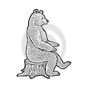 Bear sits on tree stump sketch vector illustration