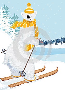 Bear skier