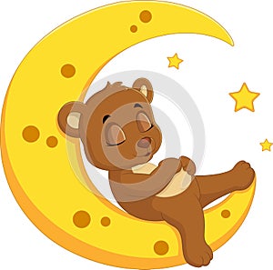 The bear sleep on the moon