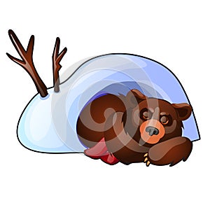 The bear is sleeping in a snow den isolated on white background. Vector cartoon close-up illustration.