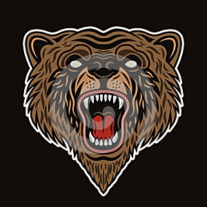 Bear snout with open roaring mouth vector illustration in colored style on dark background