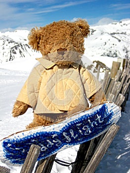 Bear on the snowbord