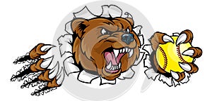 Bear Softball Animal Sports Team Mascot