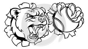 Bear Softball Baseball Claw Grizzly Animal Mascot