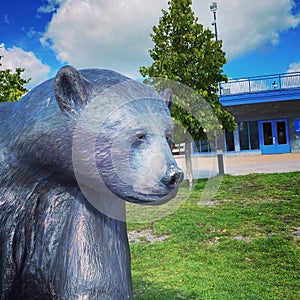 Bear statue at Kenora Visitor Centre