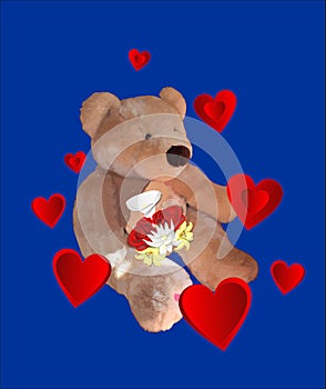 Bear sweet love