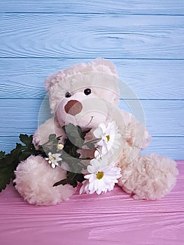 Bear toy flower present cute softness plush birthday wooden background decoration