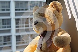 Bear toy sitting by the window sill in shadows