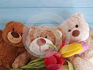 Bear toy with tulips, softness birthday on a wooden background