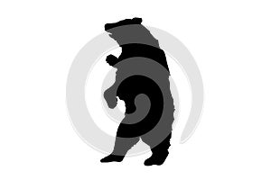 Bear vector silhouette eps10