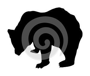 Bear vector silhouette illustration isolated on white background. Grizzly symbol. Big animal.