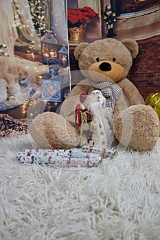 Bear waiting for Christmas