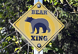 Bear warning sign in the wilderness