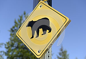 Bear warning sign in the wilderness