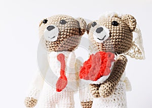 Bear wedding portraits on white background