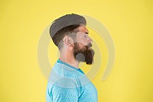 The beard is here to stay. Brutal hipster with textured beard hair on yellow background. Bearded man with stylish