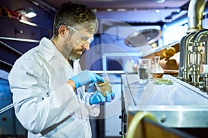 Bearded Brewer Conducting Experiment