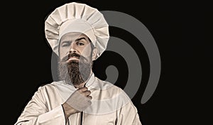 Bearded chef, cooks or baker. Bearded male chefs. Cook hat. Confident bearded male chef in white uniform. Serious cook