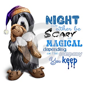 Bearded collie in a night cap with a toy in his paws