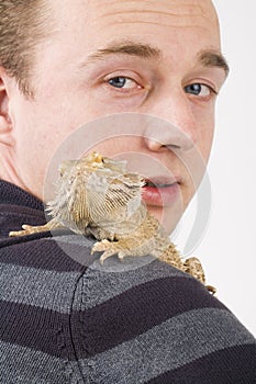 Bearded Dragon