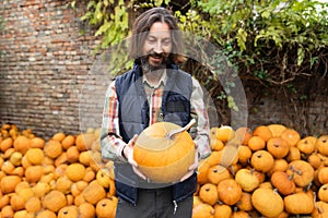 Bearded farmer with pumpkin on a background of a pile of pumpkins