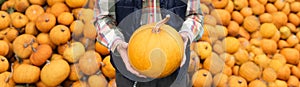 Bearded farmer with pumpkin on a background of a pile of pumpkins