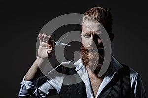 Bearded hipster barber isolated on black. Man beard haircut by hairdresser at barbershop. Handsome barber using scissors