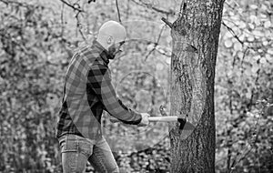 bearded hipster cut tree. man checkered shirt use axe. brutal and attractive male in forest. power and strength