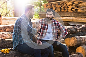 bearded lumberjacks sitting on logs and shaking hands