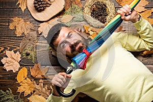 bearded man among autumn maple leaves. hipster hold colorful umbrella. Harvest and fall weather concept. leisure in park