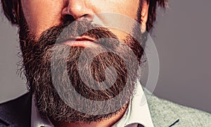 Bearded man close up. Beard is his style. Closeup of bearded mans. Male with mustache growing. Perfect beard. Close-up