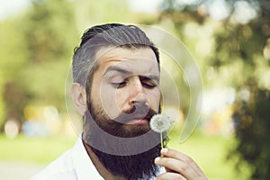 Bearded man with dandelion