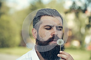 Bearded man with dandelion