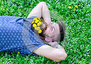 Bearded man with dandelion flowers in beard lay on meadow, grass background. Man with beard and mustache on smiling face