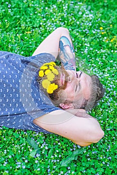 Bearded man with dandelion flowers in beard lay on meadow, grass background. Man with beard and mustache on smiling face