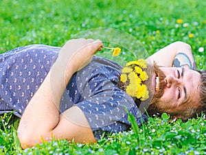 Bearded man with dandelion flowers lay on meadow, grass background. Man with beard on smiling face enjoy nature. Hipster