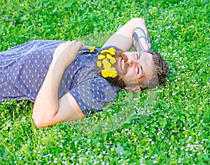 Bearded man with dandelion flowers lay on meadow, grass background. Man with beard on smiling face enjoy nature. Unite