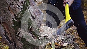 Bearded man in the forest with an ax slowing down.