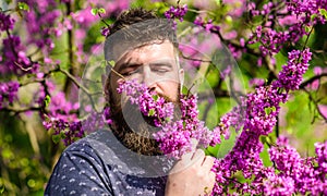 Bearded man with fresh haircut sniffs bloom of judas tree. Tranquility concept. Man with beard and mustache on peaceful