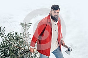 Bearded man with freshly cut down Christmas tree in forest. Hipster woodsman with Christmas tree.