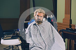 Bearded man getting haircut by hairdresser while sitting in chair at barbershop.