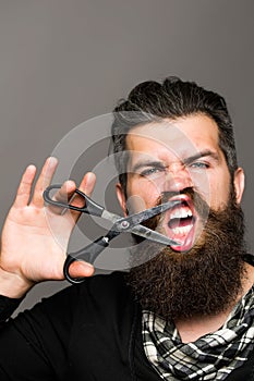 Bearded man with hairdresser scissors