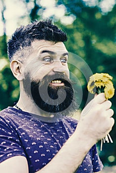 Bearded man holds yellow dandelions. Romantic hipster made bouquet, green nature background, defocused. Romantic concept