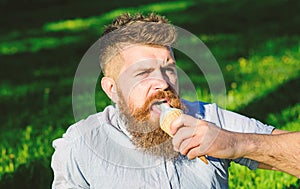 Bearded man with ice cream cone. Man with long beard eats ice cream, while sits on grass. Man with beard and mustache on