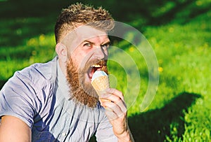 Bearded man with ice cream cone. Temptation concept. Man with long beard eats ice cream, while sits on grass. Man with