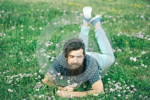 Bearded man laying on green grass