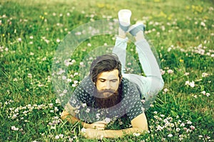 Bearded man laying on green grass