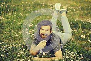 Bearded man laying on green grass smiling