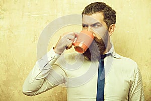 Bearded man with serious face drink tea from coffee cup