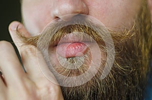 Bearded Man Twirling His Mustache